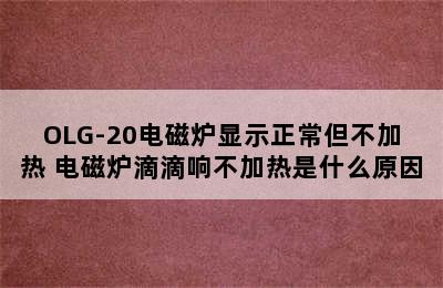 OLG-20电磁炉显示正常但不加热 电磁炉滴滴响不加热是什么原因